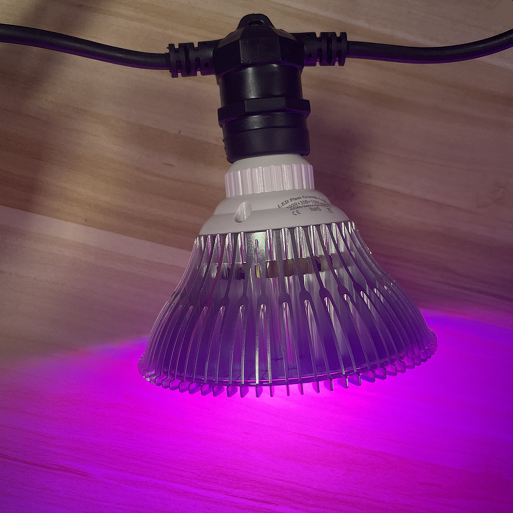 10M Cable LED String Commercia - đánh giá và giá Outdoor Lighting Construction